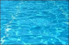 En 1983, qui a touch le fond de la piscine dans le petit pull marine ?