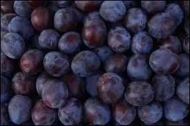 En 1986, qui nous disait 'Les brunes comptent pas pour des prunes' ?