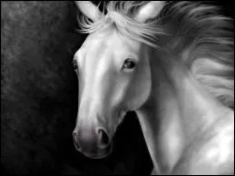 Qui a chant 'Il s'appelait Stewball, c'tait un cheval blanc. Il tait mon idole, et moi j'avais 10 ans' ?