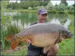 Quelle est la bonne orthographe ?