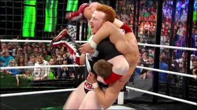 Qui a attaqu Daniel Bryan aprs le match ?