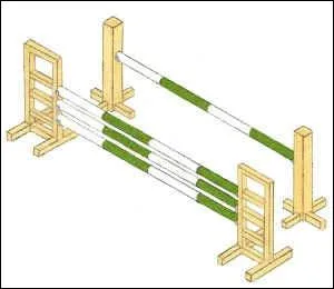 Quel est le nom de cet obstacle ?