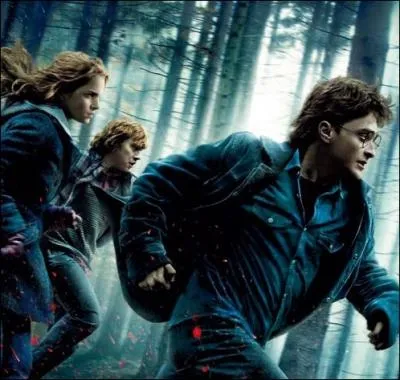 (Harry Potter - Les Reliques de la Mort - Partie 1) Dans ce film, lequel du trio principal quitte les deux autres sur un gros coup de colre, ne revenant vers eux que dans la dernire partie du film ?
