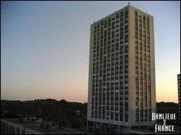 Quel est le nom de cette tour, situe dans un quartier de la ville nomm la Paillade ?