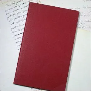 Qui a-t-il dans le petit carnet rouge que le docteur Moriarty porte toujours sur lui :