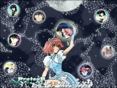 Que fait la pretear ?