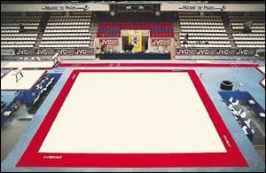 Le pratical est l'agrs du...