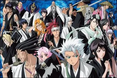 Et le ou la vice-capitaine de la onzime division ?