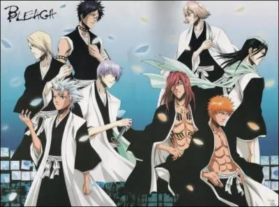 Que veut dire  Shinigami  ?