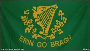 Elle s'appelle Eithne Patricia N Bhraonin mais vous la connaissez mieux sous le nom de ...