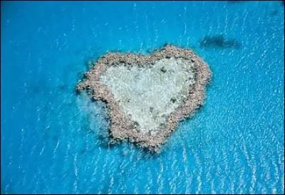 Wahou, quel eau clatante de couleur...