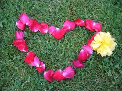 La fleur est de couleur...