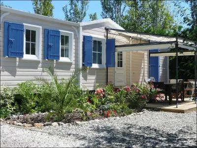 Dans ce film, Patrick y va de ses fameuses expressions comme : ' Chassez le naturiste, il revient ...