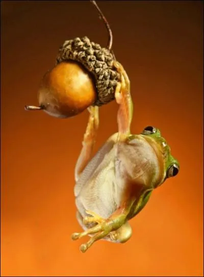 Elle fait des bonds !