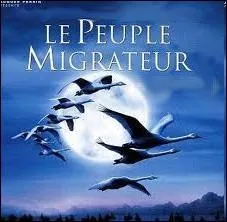 Quels taient les oiseaux ' vedettes ' du film documentaire franais de Jacques Perrin ' Le peuple migrateur ' ?