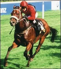 Quelle substance aurait-t injecte en intraveineuse aux chevaux de courses aux Etats-Unis ?