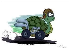 ... souvent double, jamais dpasse !