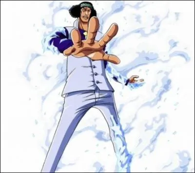 Comment se nomme le fruit du dmon de l'amiral Aokiji ?