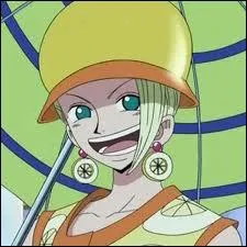 Comment se nomme le fruit du dmon de Miss Valentine