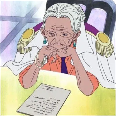 Comment se nomme le fruit du dmon du vice-amiral Tsuru ?