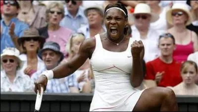 Aprs son sacre  Wimbledon 2010, elle ne joue plus avant juin 2011  cause d'une blessure. Mais quelle blessure ?