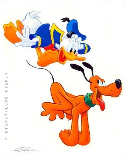 Comment s'appelle ce chien ?