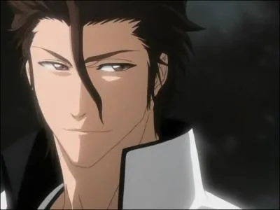Aizen est...