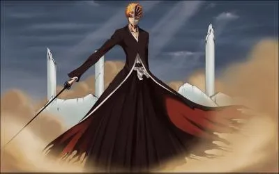 Lequel de ces Espadas Ichigo a-t-il tu en premier ?