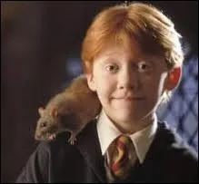 Comment s'appelle le rat de Ron ?