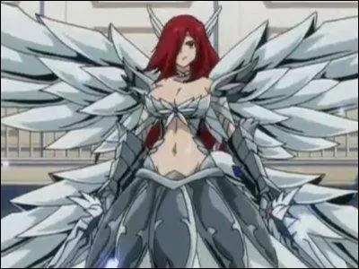 Comment s'appelle cette armure ?