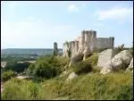 Quelle est cette forteresse rpute imprenable, qui surplombe la Seine et Les Andelys et d'o l'on a une panorame exceptionnel sur les falaises blanches qui longent la Seine ?