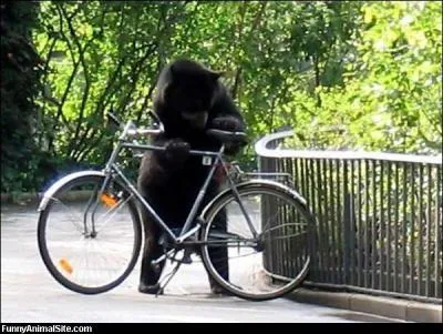 Vous ne le verrez pas sur un vlo, mais ...