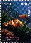 Quel est ce petit poisson, hros du film 'Le monde de Nemo' sur ce timbre de France ?