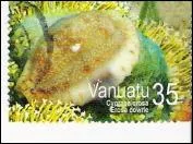 Quel est ce mollusque de l'Ocan Pacifique faisant partie de la famille des surnomms  Porcelaines , visible sur ce timbre du Vanuatu ?