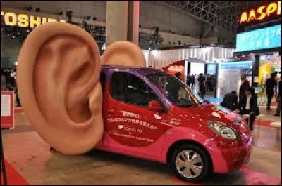 ''Il a les oreilles en abandon.''