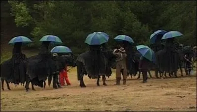 Autres cratures du ' Seigneur des Anneaux '. Comment se nomment ses cratures protges par ces parapluies ?