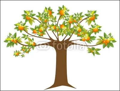 Dans sa chanson 'La ballade Nord-irlandaise', qui a 'voulu planter un oranger, l o la chanson n'en verra jamais, l o les arbres n'ont jamais donn que des grenades dgoupilles' ?