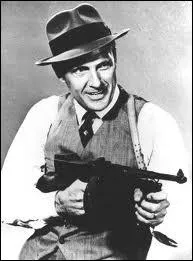 Quelle clbre srie de 1959 (4 saisons) a t revisite en 1993 (2 saisons) ?