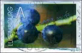 Quel est ce fruit bleu-violet, noir de forme sphrique visible sur ce timbre du Luxembourg ?