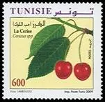 Quel est ce petit fruit rouge de la famille des drupes trs consomm en Europe, en Amrique du Nord, au Maghreb et au Moyen-Orient visible sur ce timbre de Tunisie ?