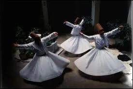 Comment appelle-t-on ces hommes ?