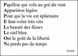 C'est un acrostiche (sur l'image).
