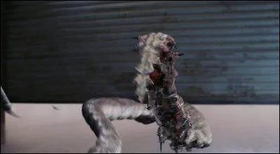 Dans quel film cette crature apparait-elle ?