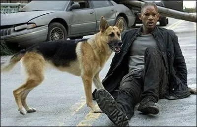 De quel film est tire cette photo ?