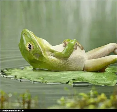 Cette photo est la preuve formelle ...