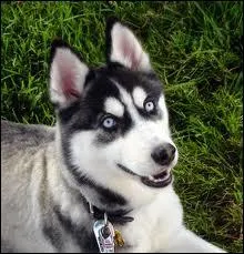 J'ai un deuxime nom, chukcha , la Russie c'est mon pays.