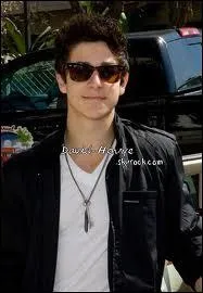 David Henrie (Les sorciers de Waverly Place) est sorti avec deux 'Disney Girls'de qui s'agit-il ?