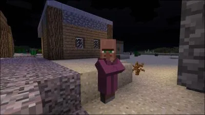 Quel est le mtier de ce villageois ?