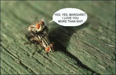 Il existe une expression qui colle ( ! ) bien  l'image !