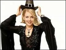 Quel chat n'est pas orange avec des rayures noires ?